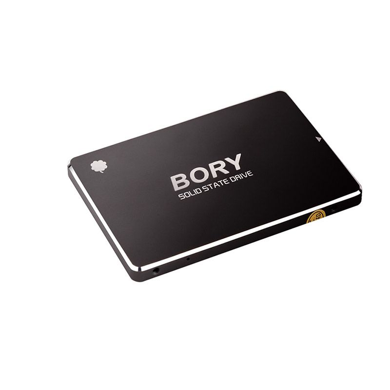  BORY R500-C128G SATA3 128 GB SSD 550/510 MBS HARDDİSK