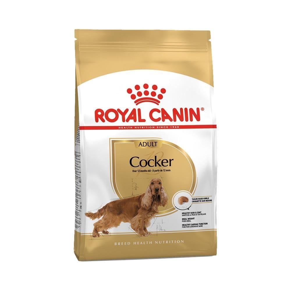 Royal Canin Cocker Adult Yetişkin Köpek Maması 3 kg