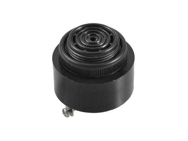 IC221G-220 220V 43mm Buzzer