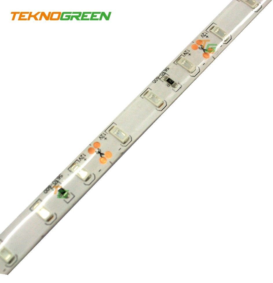 TeknoGreen TGSL-5630G Şerit Led Job İç Mekan Yeşil #2