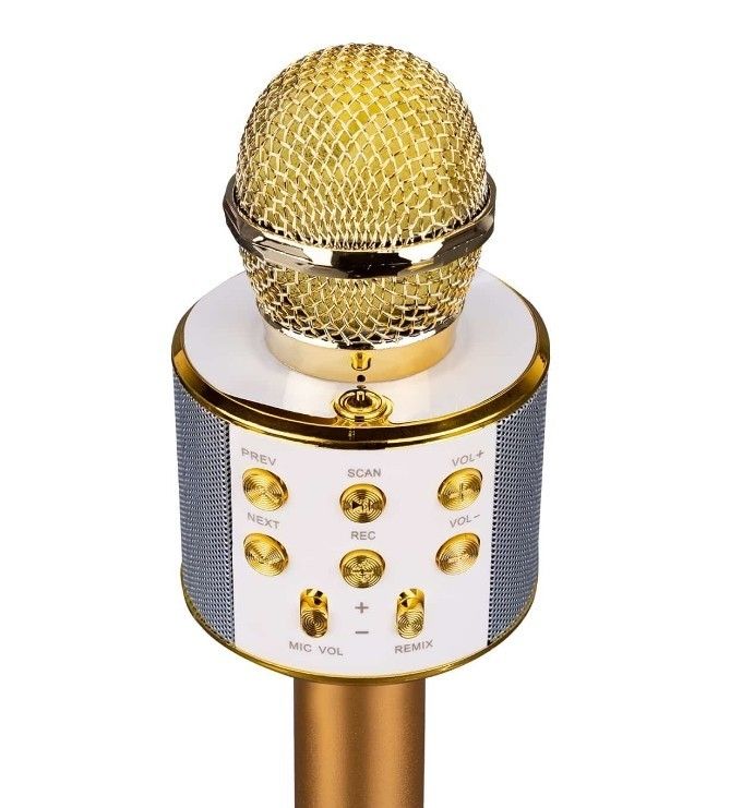 Asonic AS-M09 Siyah/Gold/Pembe Karaoke Mikrofon #4