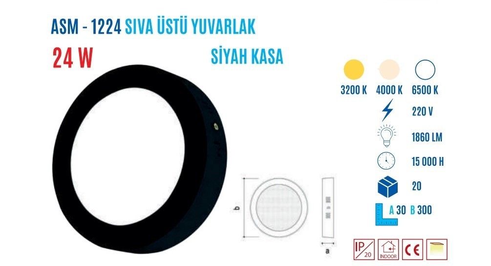 YCL ASM-1224G 24W S.üstü Yuvarlak Led Panel Günışı #2