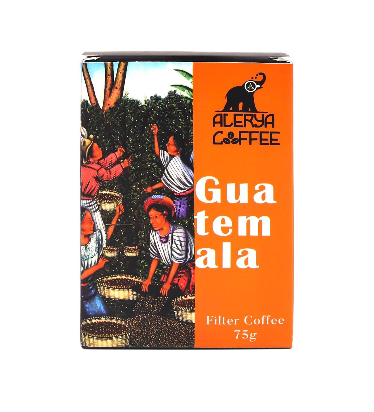 Babalar Gününe Özel Cam Kahve Demleme Karafı & Siyah Mat Kupa & Alerya Guatemala Filtre Kahve Hediye Seti #3